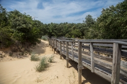 boardwalk leading to the great dune in nags head a community nor