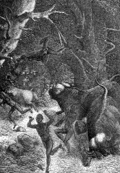 buffaloes chasing hunters illustration
