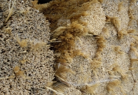 Bundles of natural reed and grass used to build thatched roofs