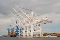 cargo cranes lined up at port baltimore