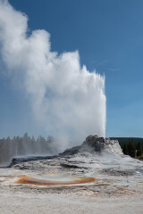 Castle Geyser at yellowstone clear sunny day
