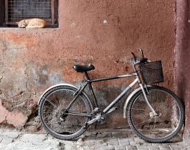cat sitting in window old bicycle in the souks Marrakesh Morocco