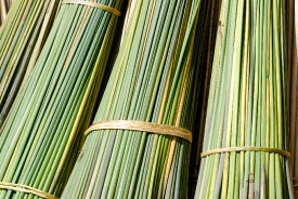 close up of bundled reeds 2545a