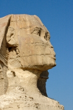 Close up of Sphinx Giza Egypt photo 5400