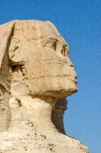 Close up of Sphinx Giza Egypt photo 5400