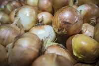 Closeup of brown vidallai onions