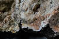 closeup of crystals minerals in geode photo 15