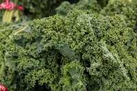 Closeup organic curly kale
