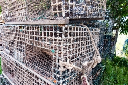 closeup view of lobster traps in maine