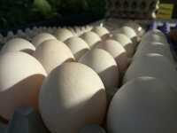 Closeup white organic eggs ready for sale