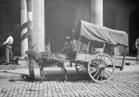 coconut merchants wagon Havana Cuba early 1900
