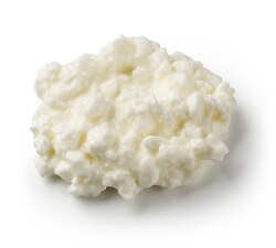 cottage cheese on white background