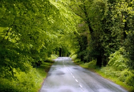 Country road in Ireland