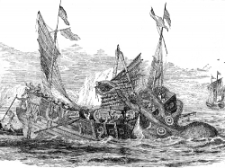 Cuttle-fish Attacking a Chinese Junk