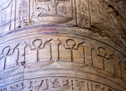 decorative columns at temple of edfu  6210a