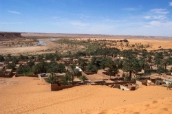 Desert Oasis Algeria