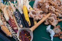 display native foods and natural materials used by ancient peopl