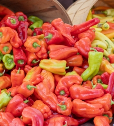 Display of red, orange and yellow bell peppers at a farmers mark
