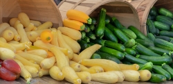 Display of yellow and green squash