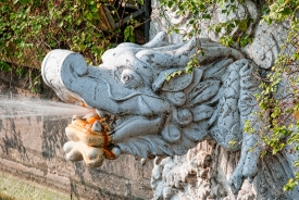 Dragon at Yuyuan Garden 