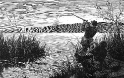 duck shooting on saratoga lake historic illustration