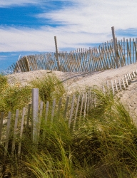 dunes and fence cape hatteras north carolina