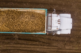 Eerial view of the truck filled with potato harvest