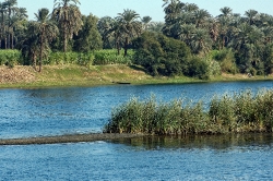 egyptian city edfu scene along nile river