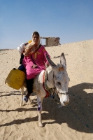 Egyptian Girl Sitting On Donkey in the desert