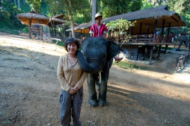 elephant camp thailand 3021a