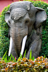 Elephant Statue National Museum Of Cambodia Phnom Penh Photo 