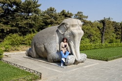Elephant statue on the Spirit Way 6282A