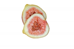 figs cut in half white background photo