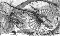 flying dragon lizard Illustration
