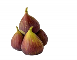 four fresh figs stacked photo