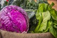 Fresh red cabbage and other leafy vegetables