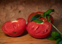 fresh sliced tomatoes with basil leaves