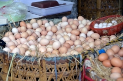 Fresh Small Eggs In Wicker Baskets For Sale Market Photo Image