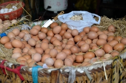 Fresh Small Eggs In Wicker Baskets For Sale Market Photo Image