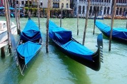 Gondola near Rialto Bridge in Venice Italy Photo 8372 copy