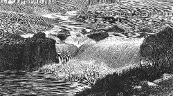 great falls of the yellowstone historical illustration
