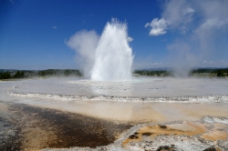Great Fountain Geyser erupting in Yellowstone National Park
