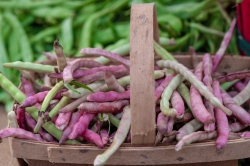 green and purple pole beans in basket at local outdoor market