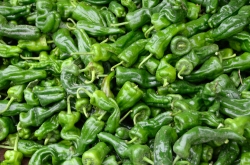 Green Pepers Photo Image