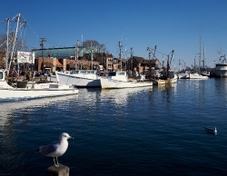 Harbor at annapolis Marylands