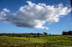 Hay bales on this rolling farmland