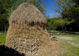 Hay pile near a cottage farm in Ireland