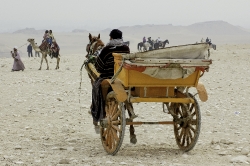 Horse and cart near great pyramids Photo 6897
