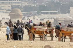 Horse and cart near great pyramids Photo 6902