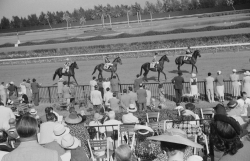 Horse races Hialeah Park Miami Florida 1939